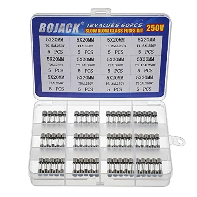 Bild av BOJACK 12 värden 60 st långsam blåsning glassäkringar sortiment kit 5 x 20 mm 250 V T0,5 A 1 1,25 1,6 2 2,5 3,15 4 6,3 10 paket i en genomskinlig plastlåda