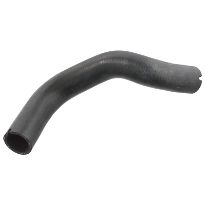 Bild av SWAG 70 10 6237 Durite De Refroidissement gauche supérieur EPDM (éthylène propylène diène caoutchouc) FIAT: Punto II 3/5 portes, Idea, LANCIA: Musa
