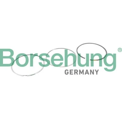 Bild av Borsehung B10364 Jeu De Segments Pistons VOLKSWAGEN: GOLF 6, Multivan 5 (7HM, Transporter Bus, AUDI: A4 B8 Berline, A6 C7 Avant, TT Coupe