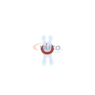 Bild av VAICO V10 2026 Patte