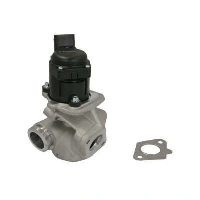 Bild av WAHLER 710929D/1 Vanne EGR électrique avec joints PEUGEOT: 207 3/5 portes, 206 SW, CITROËN: C3 II, I C2 portes