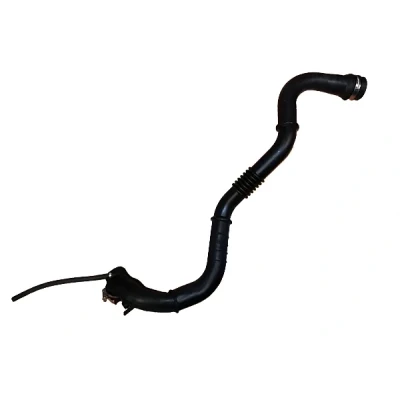 Bild av BUGIAD 88759 Gaine De Suralimentation 54 RENAULT: Kangoo I Express, SCENIC 2, MEGANE 2