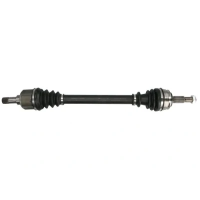 Bild av Drivaxel PASCAL G2C169PC