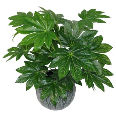 Bild av Leaf Design UK realistisk konstgjord lövverk växt med kruka, Aralia, 60 cm