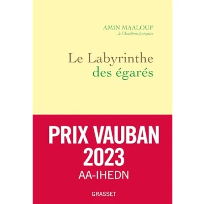 Bild av Le labyrinthe des égarés: L&#039;Occident et ses adversaires
