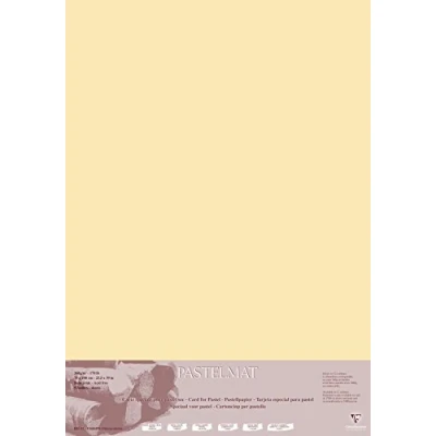 Bild av Clairefontaine Ref 296023C Pastelmatta kortark (paket med 5 ark) 360 gsm kort 70 x 100 cm majsfärg speciellt formulerad för användning pasteller