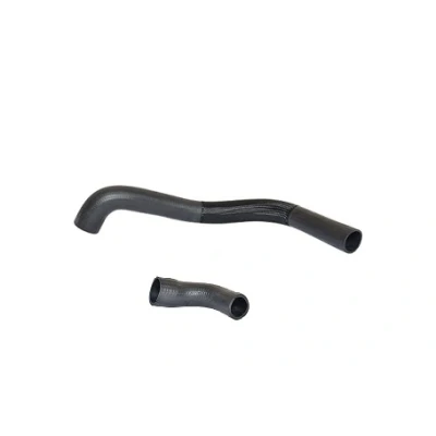 Bild av BUGIAD 88791 Gaine De Suralimentation avec colliers FORD: Transit Mk6 Van, Сamion à Plateau/Сhâssis, Minibus
