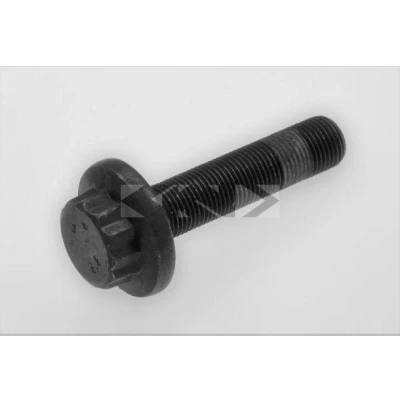 Bild av SPIDAN 190854 Boulon d&#039;essieu, arbre de commande VOLKSWAGEN: Golf 5, Tiguan I, 7, SEAT: Leon II 3/5 portes, III SC, Alhambra