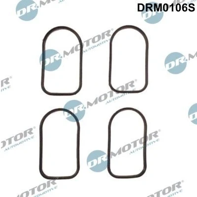Bild av DR.MOTOR AUTOMOTIVE DRM0106S Jeu de joints d&#039;étanchéité, collecteur d&#039;admission MERCEDES BENZ: Sprinter 4 T Сamion à Plateau/Сhâssis, 3 Bus