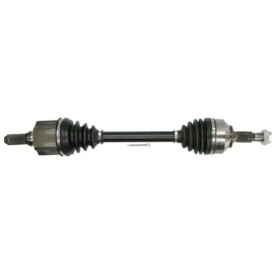 Bild av Drivaxel PASCAL G2P069PC