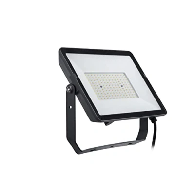 Bild av Philips ProjectLine LED spot utomhus 3 000K 150W
