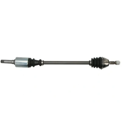 Bild av Drivaxel PASCAL G2C002PC
