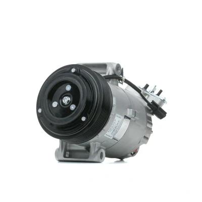 Bild av DELPHI TSP0155928 compresseur De Climatisation 6CVC13 PAG 46 avec huile NISSAN: Qashqai / Qashqai+2 I