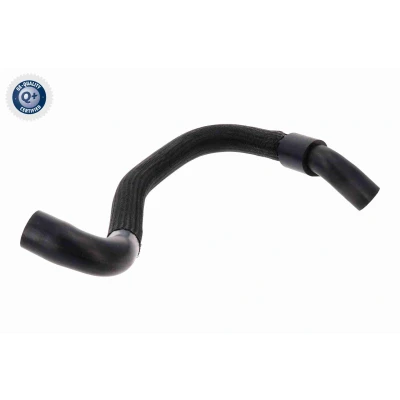 Bild av ACKOJA A38 0644 Durite De Refroidissement Radiateur moteur, gauche inférieur RENAULT: CLIO 2, Kangoo I, I Express