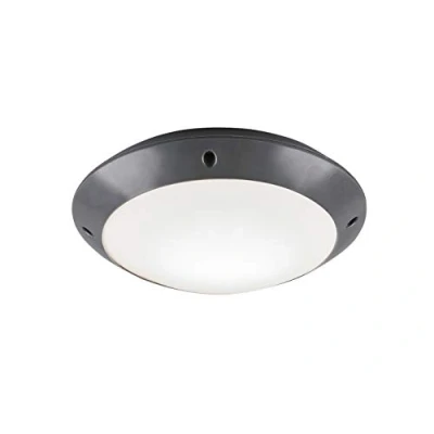 Bild av Reality lampor utomhus taklampa Camaro R60501042, plast antracit/vit, exkl. 1 x E27