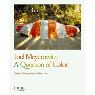 Bild av Joel Meyerowitz : a question of Colour /anglais: color