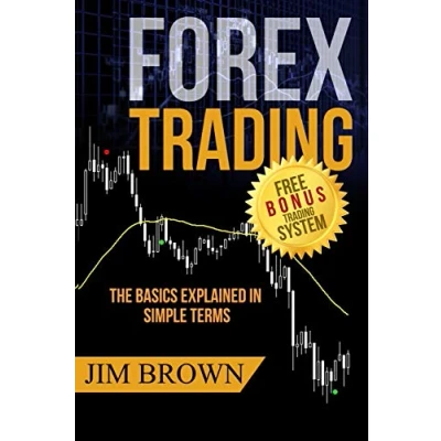Bild av Forex Trading: The Basics Explained in Simple Terms