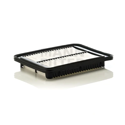 Bild av Luftfilter MANN FILTER C 24 010