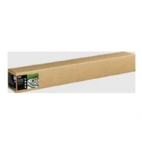 Bild av Epson C13S450286NQ plotter paper