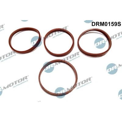 Bild av DR.MOTOR AUTOMOTIVE DRM0159S Jeu de joints d&#039;étanchéité, collecteur d&#039;admission PEUGEOT: Partner I Combispace, 307 3/5 portes, 206 portes