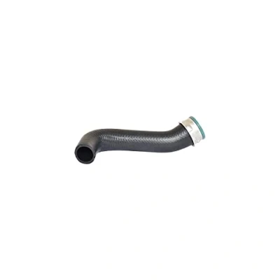 Bild av BUGIAD 82650 Gaine De Suralimentation 50 VOLKSWAGEN: Golf 4, Bora Variant, Berline, SEAT: Leon I 3/5 portes, Toledo 2 Limousine