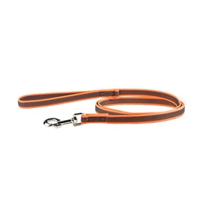 Bild av Julius K9 C&amp;G Super grip leash Orange Gray Width: 0.7/ 20mm Length: 6.5ft /