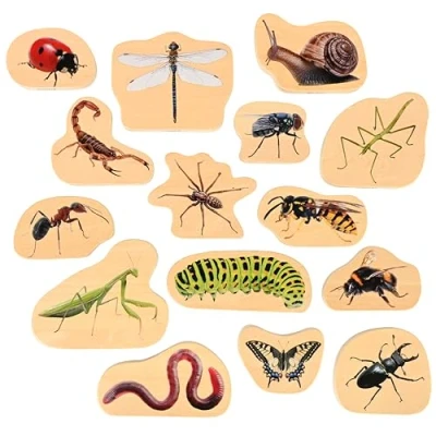 Bild av tickit® Träfigurer insekter 15/fp