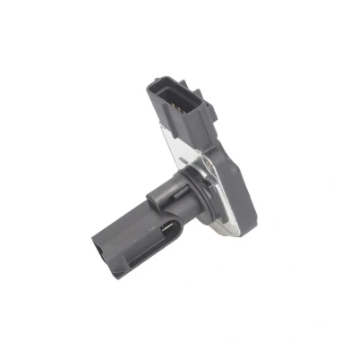 Bild av Luftmassesensor DELPHI AF10372 12B1