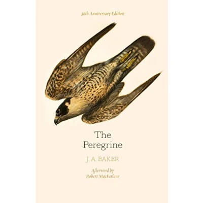 Bild av The Peregrine: 50th Anniversary Edition: Afterword by Robert Macfarlane