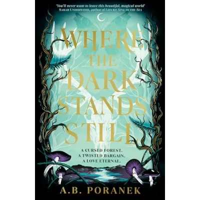 Bild av Where the Dark Stands Still: A sweeping, gothic YA fairytale romance