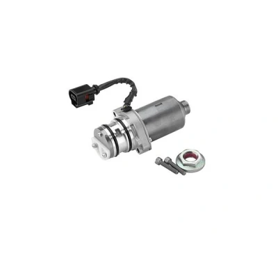 Bild av Pump, lamellkoppling (allhjulsdrift) BORGWARNER DS119863