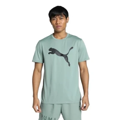 Bild av Puma TAD Essentials Solid CAT TEE Tshirt till träning, Storlek: 3XL, Green moon