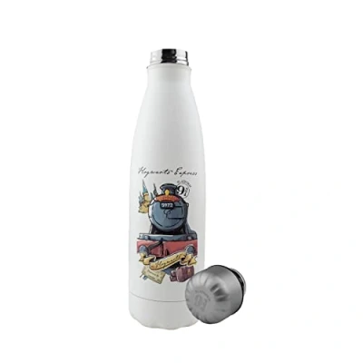 Bild av Cinereplicas Harry Potter isolerad flaska 500 ml rostfritt stål officiell licens (på väg till Hogwarts)