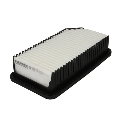 Bild av Luftfilter FILTRON AP 107/7