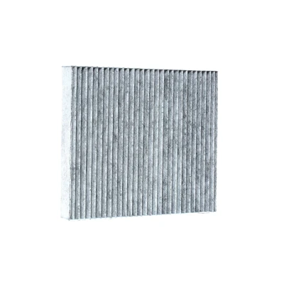Bild av MAPCO 67606 Filtre d&#039;habitacle à charbon actif 240 209 34 FORD: MONDEO 4, KUGA 1, S Max Mk1