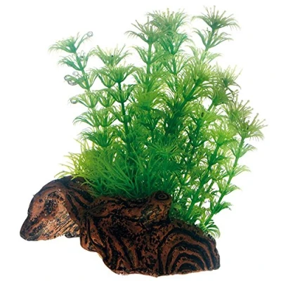 Bild av Dohse Flora Root 3 S 17 cm