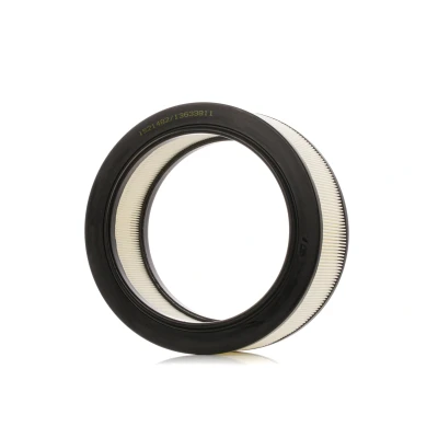 Bild av Luftfilter FILTRON AR 225