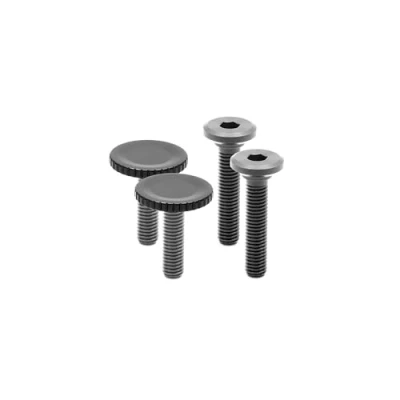 Bild av Peakdesign Peak Design Bolt 2X Black V3 (Reservdel)
