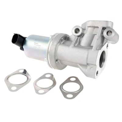 Bild av Egr Ventil Delphi EG10641 12B1
