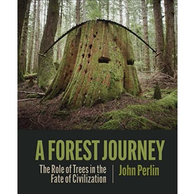 Bild av the Forest Journey: Role of Trees in Fate Civilization