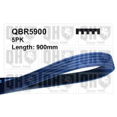 Bild av QUINTON HAZELL QBR5900 Courroie Poly V 900 5 BMW: 3 Coupe, Berline, RENAULT: TWINGO 1, SUZUKI: SWIFT 4, Splash