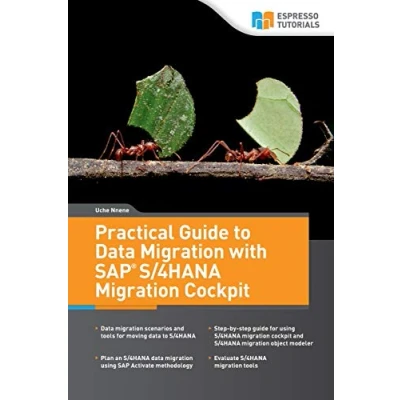 Bild av Practical Guide to Data Migration with SAP S/4HANA Cockpit