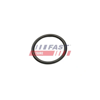 Bild av FAST FT50013 Soupape d&#039;Admission 41 FIAT: Ducato II Van, Camion à Plateau/Châssis, Bus, IVECO: DAILY 3, 3 Kasten/Kombi