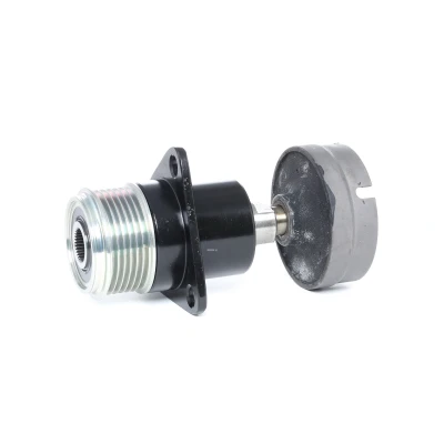 Bild av RIDEX 1390F0026 Poulie d&#039;Alternateur 22,6 FORD: Focus C Max, Mk1 Break, 2