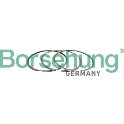 Bild av Kolvringsats Borsehung B10366