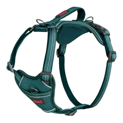 Bild av Halti Anatomy urval Teal Large