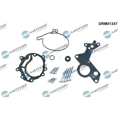 Bild av DR.MOTOR AUTOMOTIVE DRM01347 Kit réparation pompe à vide VOLKSWAGEN: Touran I, Golf 5, 4, AUDI: A3 3/5 portes, A4 B7 Avant, Sportback