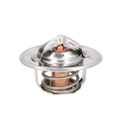 Bild av THERMOTEC D2FO001TT Thermostat d&#039;eau 78