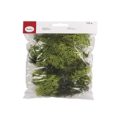 Bild av Rayher 8503211 Islandmossa, ljusgrön, förpackning 100 g, äkta naturmossa (Island), konserverad, renad, för pyssel, dekorativ mossa till påsk, jul, modellbygge