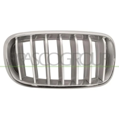 Bild av BLIC 6502 07 00969966P Calandre avant droite titane, chrome BMW: X5